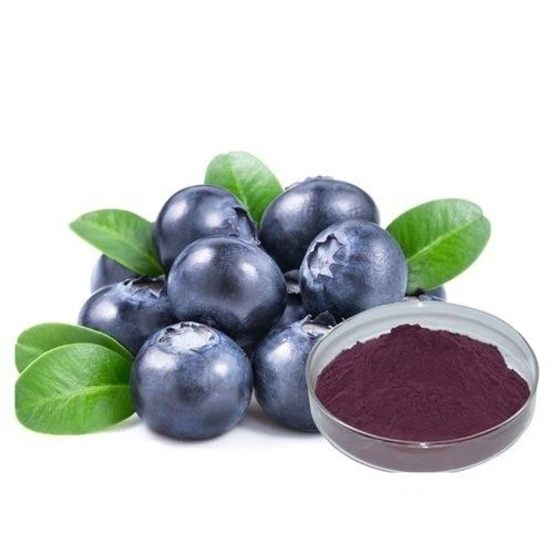 bilberry-extract-powder bilberry-extract-powder