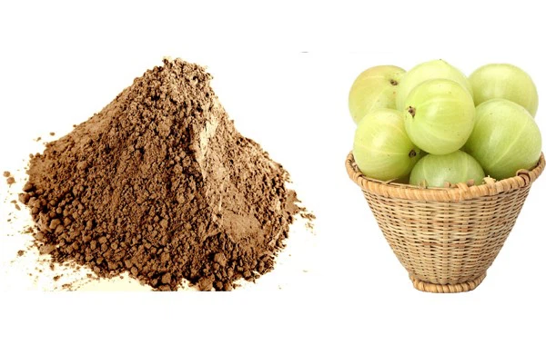 Amla Fruit Extract Powder Amla Fruit Extract Powder