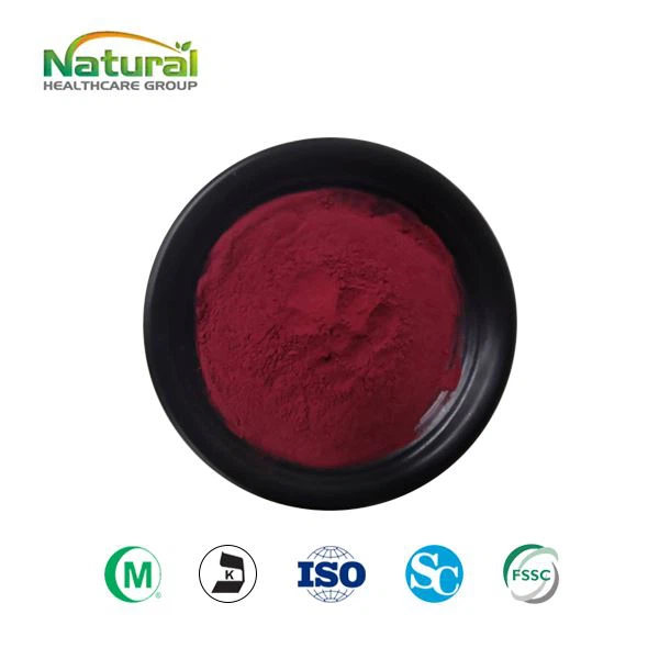 Bilberry Extract Hmoov