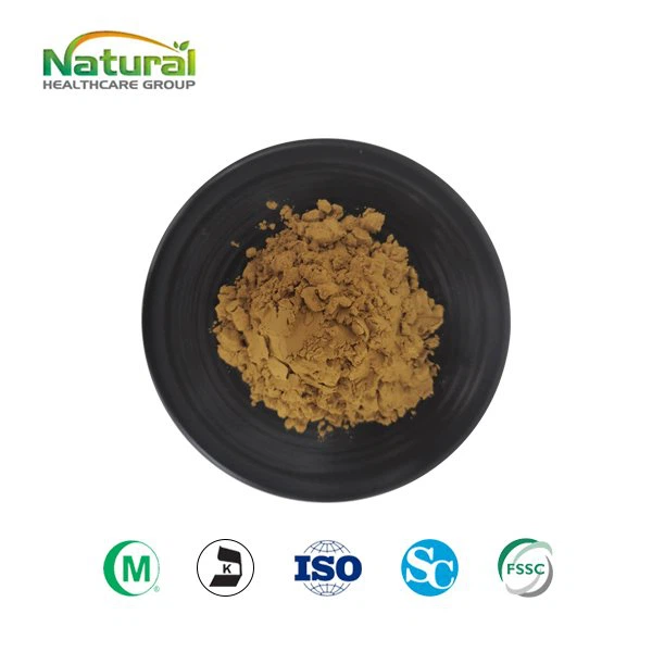 Senna nplooj Extract
