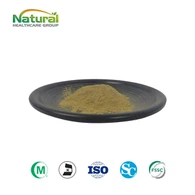 Nettle nplooj Extract hmoov