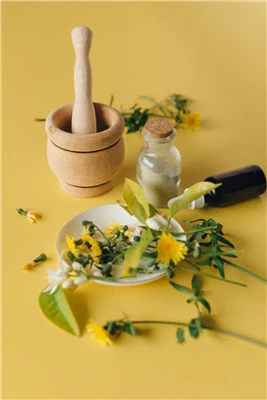 Yuav Siv Celandine Extract li cas?